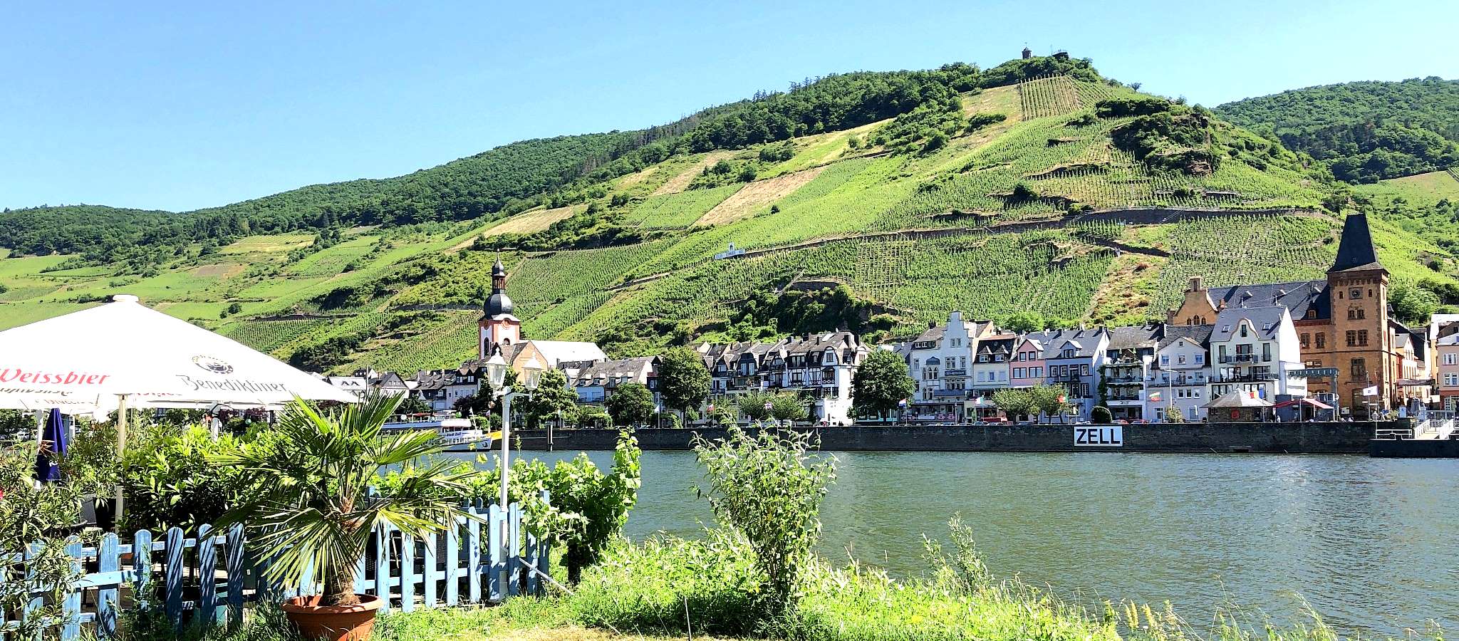 Blick auf Zell an der Mosel - Im Moselurlaub im Ferienhaus Am Moselradweg